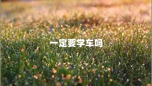 一定要學(xué)車嗎 一定要學(xué)車嗎
