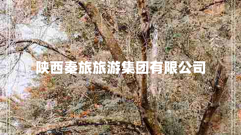 陜西秦旅旅游集團有限公司 陜西秦旅旅游集團有限公司