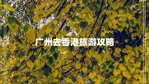 廣州去香港旅游攻略