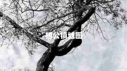 相公鎮(zhèn)地圖 相公鎮(zhèn)地圖