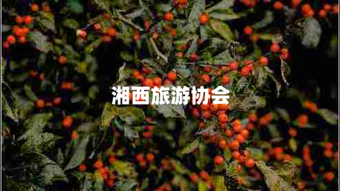 湘西旅游協(xié)會(huì)