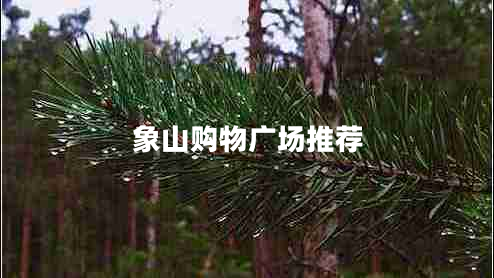 象山購(gòu)物廣場(chǎng)推薦