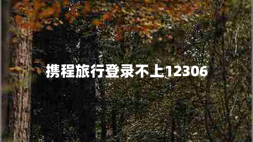 攜程旅行登錄不上12306 攜程旅行登錄不上12306