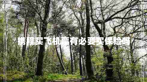 攜程買飛機票有必要買保險嗎 攜程買飛機票有必要買保險嗎