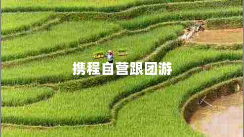 攜程自營(yíng)跟團(tuán)游 攜程自營(yíng)跟團(tuán)游