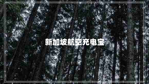 新加坡航空充電寶