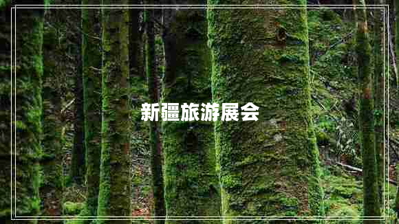 新疆旅游展會