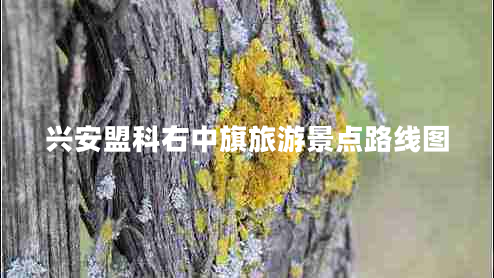興安盟科右中旗旅游景點(diǎn)路線圖 興安盟科右中旗旅游景點(diǎn)路線圖