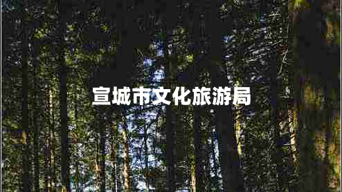 宣城市文化旅游局 宣城市文化旅游局