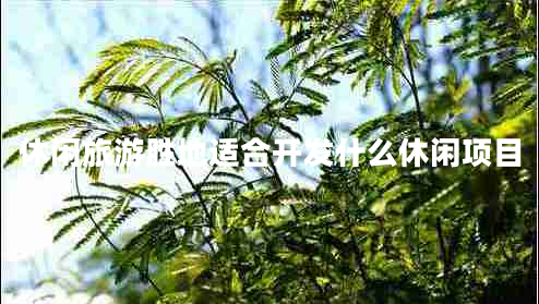 休閑旅游勝地適合開發(fā)什么休閑項目