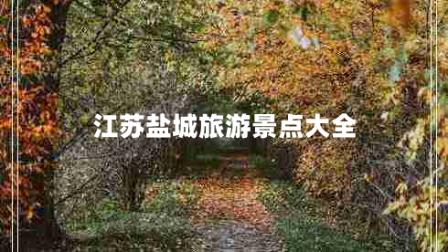 江蘇鹽城旅游景點(diǎn)大全