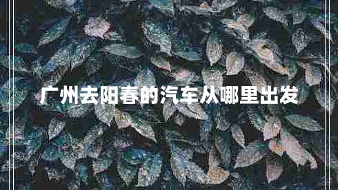 廣州去陽春的汽車從哪里出發(fā)