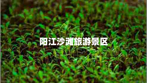 陽江沙灘旅游景區(qū)