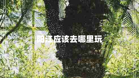 陽江應(yīng)該去哪里玩 陽江應(yīng)該去哪里玩