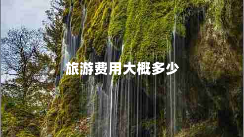 旅游費(fèi)用大概多少