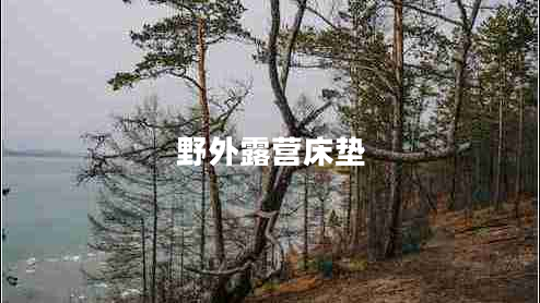 野外露營(yíng)床墊