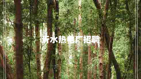 沂水熱電廠招聘 沂水熱電廠招聘