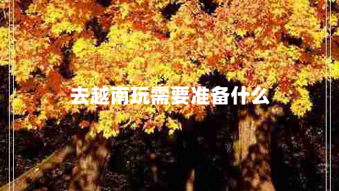 去越南玩需要準備什么