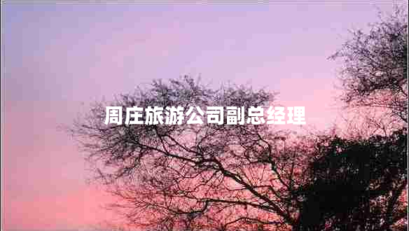 周莊旅游公司副總經(jīng)理 周莊旅游公司副總經(jīng)理