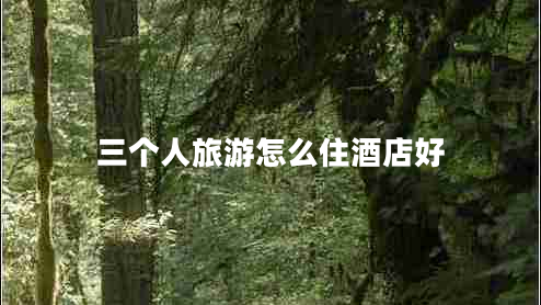 三個(gè)人旅游怎么住酒店好