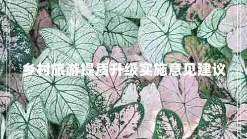 鄉(xiāng)村旅游提質(zhì)升級實施意見建議 鄉(xiāng)村旅游提質(zhì)升級實施意見建議