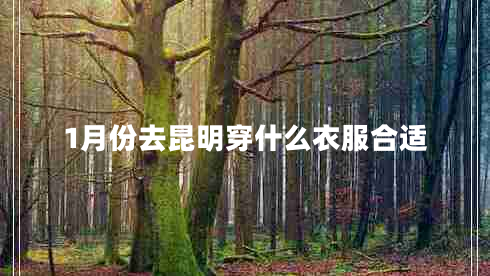 1月份去昆明穿什么衣服合適