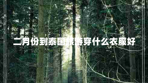 二月份到泰國旅游穿什么衣服好