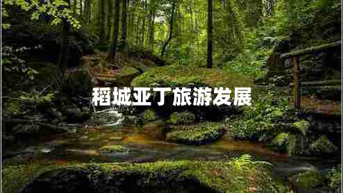 稻城亞丁旅游發(fā)展