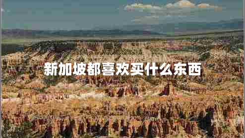 新加坡都喜歡買什么東西 新加坡都喜歡買什么東西