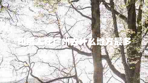 印度人在廣州去什么地方最多