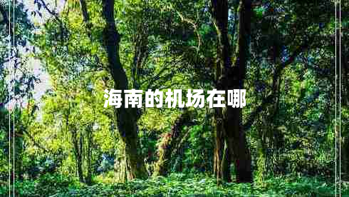 海南的機場在哪