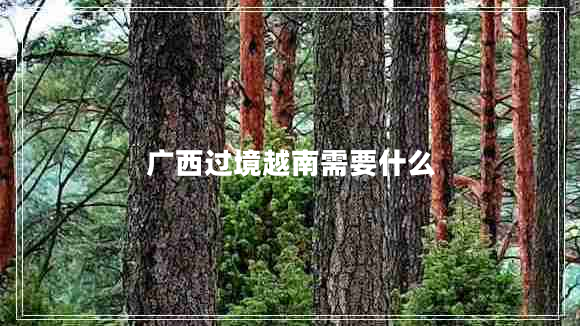 廣西過境越南需要什么