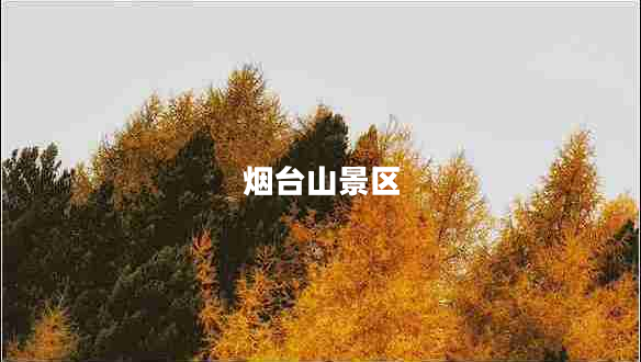 煙臺山景區(qū) 煙臺山景區(qū)