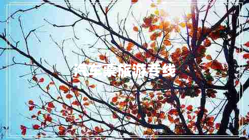 汽車票旅游專線