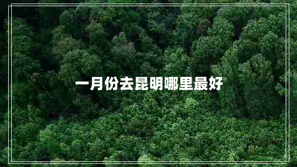 一月份去昆明哪里最好 一月份去昆明哪里最好
