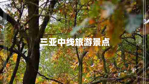 三亞中線旅游景點(diǎn)