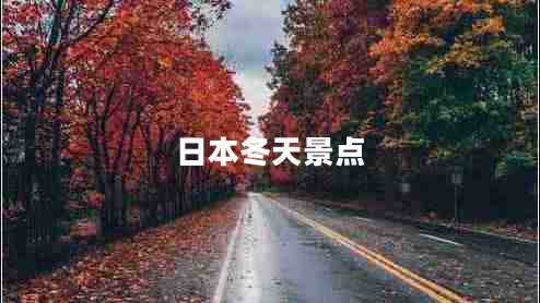 日本冬天景點(diǎn)
