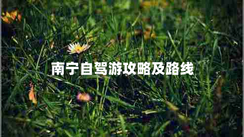 南寧自駕游攻略及路線