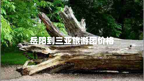 岳陽到三亞旅游團價格