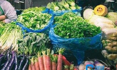 農村一萬元創(chuàng)業(yè)項目有哪些