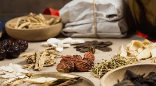 金線蓮種植前景如何