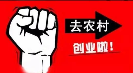 農(nóng)村不起眼的商機有哪些