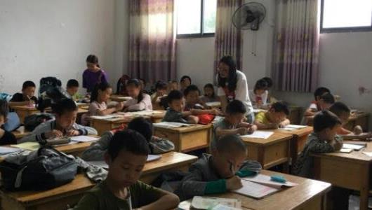 農(nóng)村一個(gè)人單干暴利項(xiàng)目 農(nóng)村一個(gè)人單干暴利項(xiàng)目