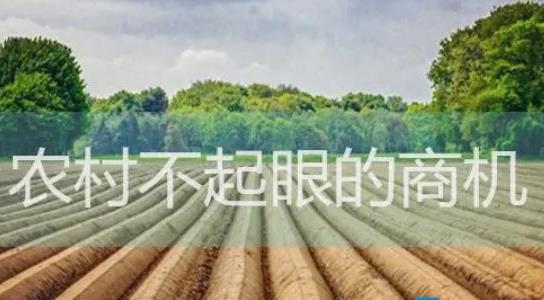 農(nóng)村不起眼的商機有哪些
