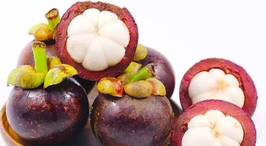 山竹長(zhǎng)在土里還是樹上