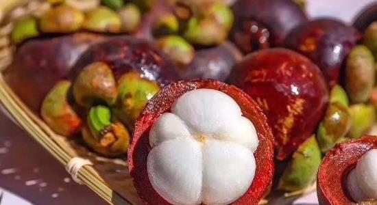 山竹長(zhǎng)在土里還是樹上