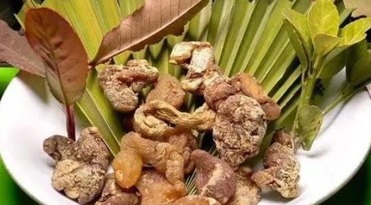 種10畝黃精利潤多少 種10畝黃精利潤多少