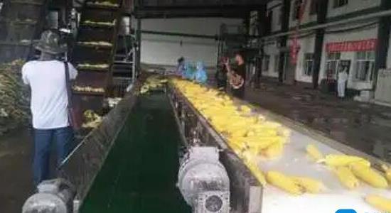 小型加工致富項目有哪些 小型加工致富項目有哪些