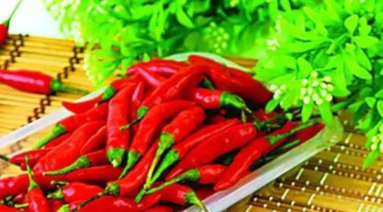 小米辣畝產(chǎn)量多少公斤