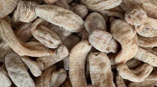 農(nóng)業(yè)種植什么項(xiàng)目前景好掙錢多